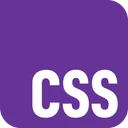 CSS icon