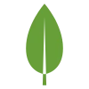 MongoDB icon