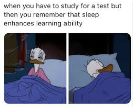 study_meme